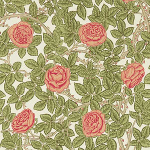 Twining Vine Climbing Rose Wallpaper  
