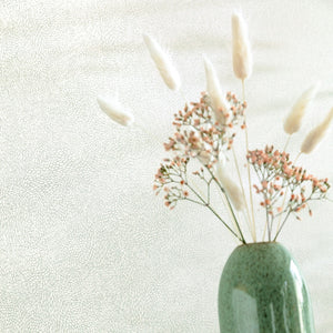 April by Caselio Plain Wallpaper Green