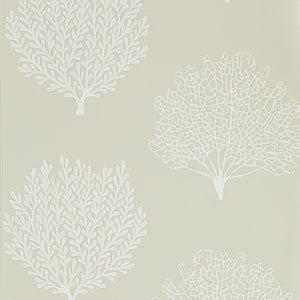 Driftwood Coralline Wallpaper with Coral Reefs by Select Style