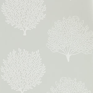 Gull Tranquilizing Coral Wallpaper by Sanderson