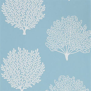 Marine Plants Coralline Port Isaac Wallpaper for Study Rooms