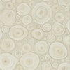 Birch Wood Wallpaper by Sanderson 