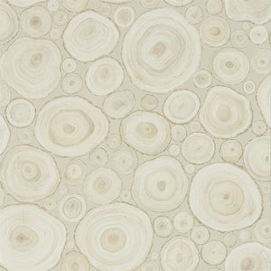 Birch Wood Wallpaper by Sanderson 