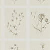 Little Thistle Embleton Bay Wallpaper Collection