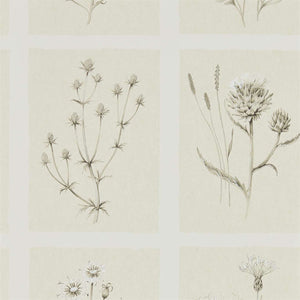 Little Thistle Embleton Bay Wallpaper Collection