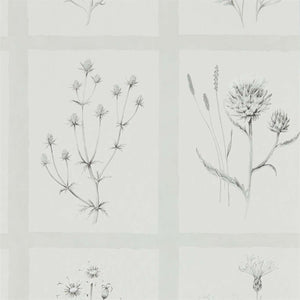 Pewter Little Thistle Wallpaper for Office and Living Room 