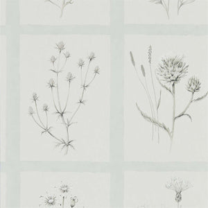Grey Blue Thistle Wallpaper by Select Style