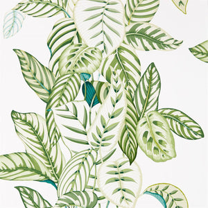 Botanical Green