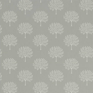 Grey Birch