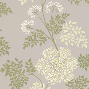 Amethyst Cowparley Wallpaper Lacy Ferns Sanderson