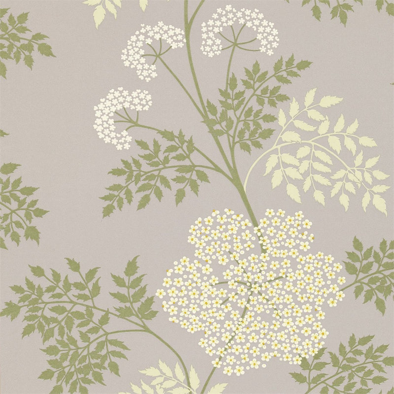 Amethyst Cowparley Wallpaper Lacy Ferns Sanderson