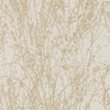 Wheat Cream