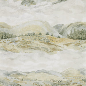 Sage Grey Elysian Abstract Wallpaper for Bedrooms & Living Rooms