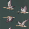 Amsterdam Green Background with Geese Wallpaper by Select Style
