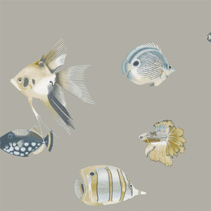 Graphite Mustard Fish Wallpaper Collection
