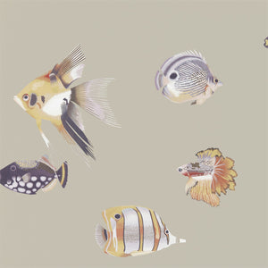 Mandarin Fig Aquarium Design Wallpaper by Select Style