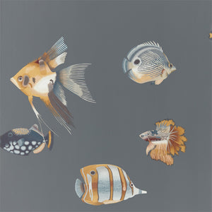 Amber Slate Fish Aquarium Wallpaper by Select Style 