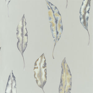 Graphite Mustard Anthozoa Wallpaper by Select Style