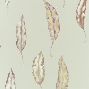 Mandarin Fig Tree Wallpaper by Select Style