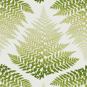 Emerald Forest | Callista Wallpapers 