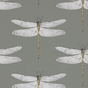 Graphite Almond Demoiselle Wallpaper with Dragonfly motifs
