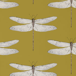 Ochre Grape Demoiselle Wallpaper Dragonfly Insect on Yellow Background