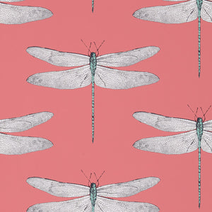 Coral Mint White Dragonfly on pink Background Wallpaper by Select Style