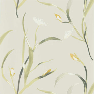 Ochre Linen Zapara Trees & Leaves Wallpaper Collection by Select Style