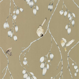 Linen Blush Iyanu Wallpaper with White Butterflies for Bedrooms