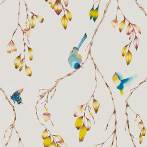 Papaya  Kiwi Iyanu Wallpaper with Elegant & Colourful Butterflies