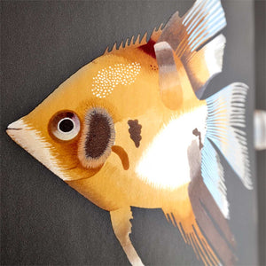 Kamanu Harlequin Fish Wallpaper Collection